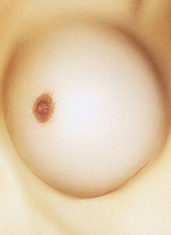 Small Nipples